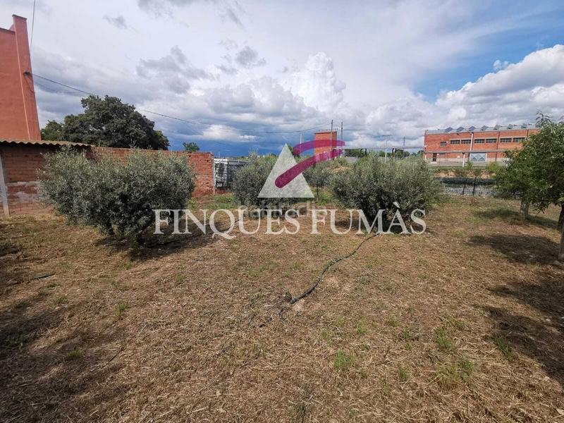 Foto 13b40c8d-49dc-4966-8351-70eedec8172e. Casa amb xemeneia calefacció aparcament piscina a Tàrrega