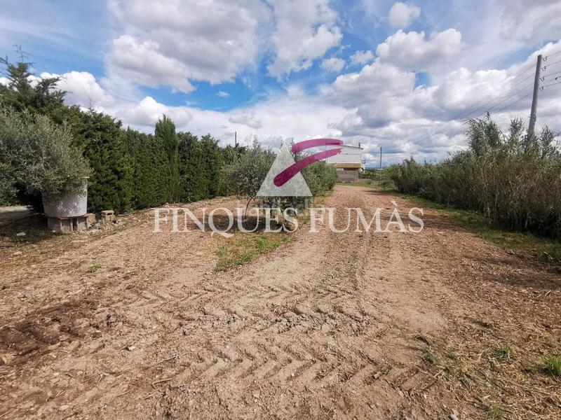 Foto 48397a08-44a9-4e2c-9590-aa3e87fac9a1. Casa amb xemeneia calefacció aparcament piscina a Tàrrega