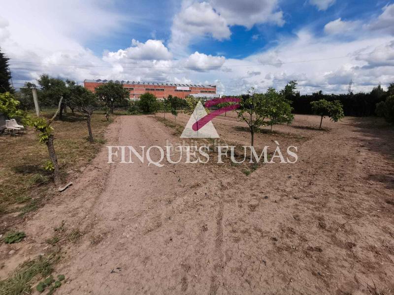 Foto e2902c53-4bcb-4f5c-bfe2-11f46a8b2ff5. Casa amb xemeneia calefacció aparcament piscina a Tàrrega