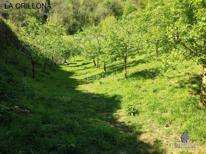 Foto 036c995f-45e0-4658-94e5-8fe5a0b77c2a. Casale in San Martín del Rey Aurelio