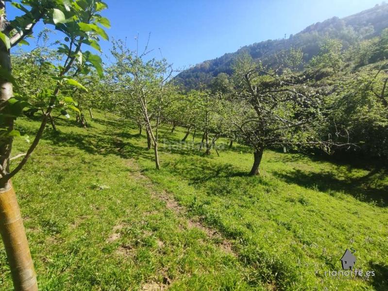 Foto 1fb894a6-d7a9-4adc-804a-4cc3b640f22e. Casale in San Martín del Rey Aurelio