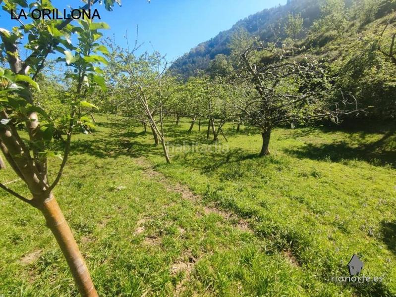 Foto 8a146e3f-e280-4e62-a523-757effaa188c. Casale in San Martín del Rey Aurelio