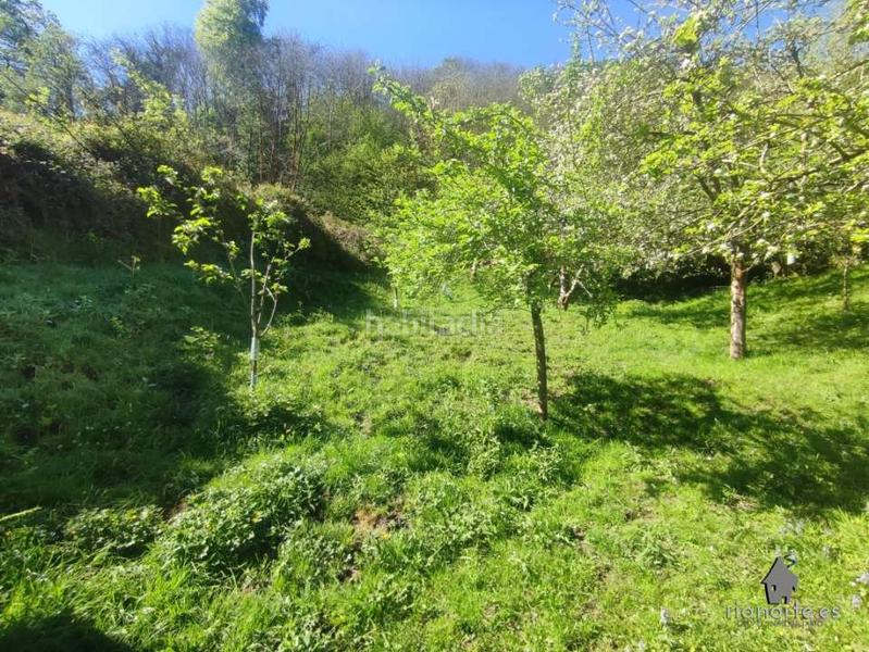 Foto f4cf5f75-2784-42f2-83ce-ef346d0a590d. Casale in San Martín del Rey Aurelio