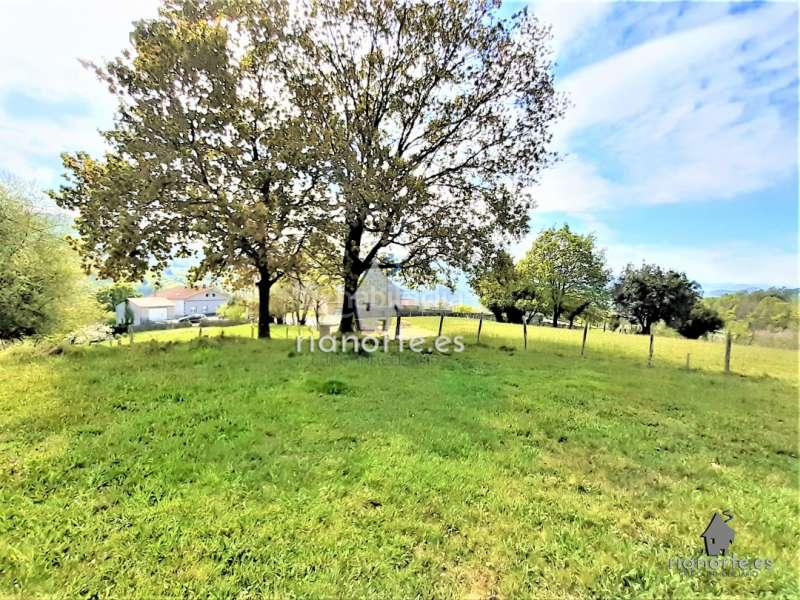 Foto 53da46a7-45d9-44e1-97b7-69b5ca8a6a09. Residential plot in Quintana Madrid