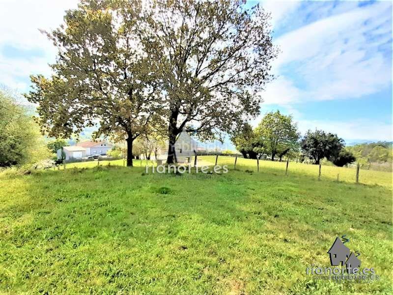 Foto a2952cec-1c1c-43b8-9659-54281b48874a. Residential plot in Quintana Madrid