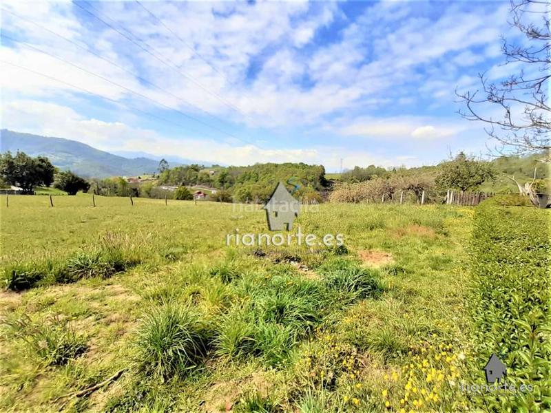 Foto ef181185-1145-4ddc-87e2-e6c7b6e2c3f9. Residential plot in Quintana Madrid