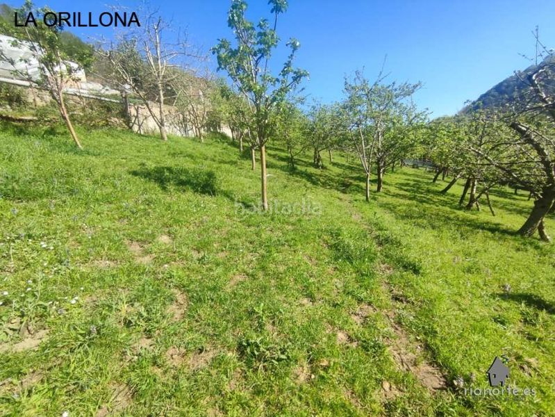 Foto 5dfa8c2d-40b8-40fc-bcd4-134dbc6a02fc. Finca rústica a San Martín del Rey Aurelio