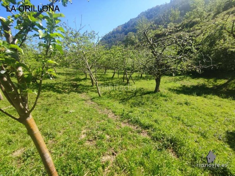 Foto 8a146e3f-e280-4e62-a523-757effaa188c. Finca rústica a San Martín del Rey Aurelio