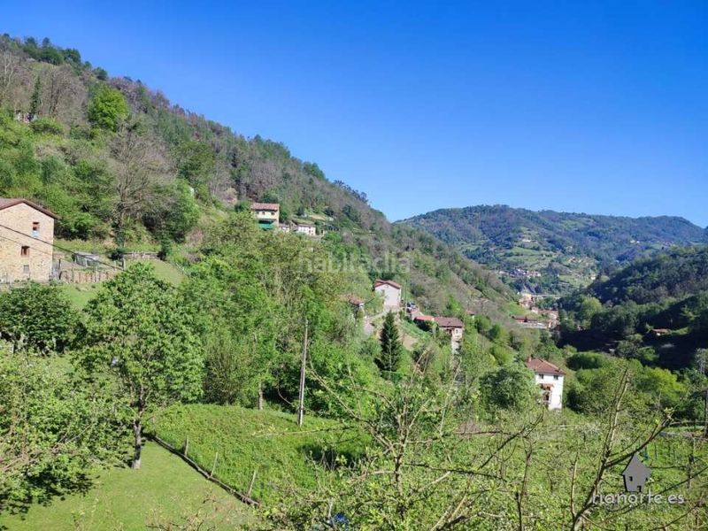 Foto c364d771-c4ea-4d46-857c-9a0d431c8094. Finca rústica a San Martín del Rey Aurelio