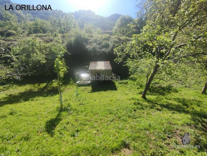 Foto f7cd399d-c2f4-4b19-ad4e-f47702090f93. Finca rústica a San Martín del Rey Aurelio