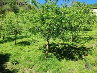 Rural plot in San Martín del Rey Aurelio. Se venden 2 fincas rústicas con  pomarada y un monte de castaño