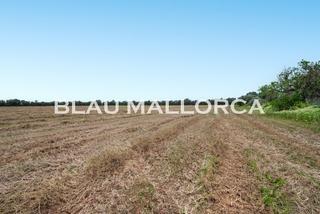 Propriété à Campos. Masãa en campos