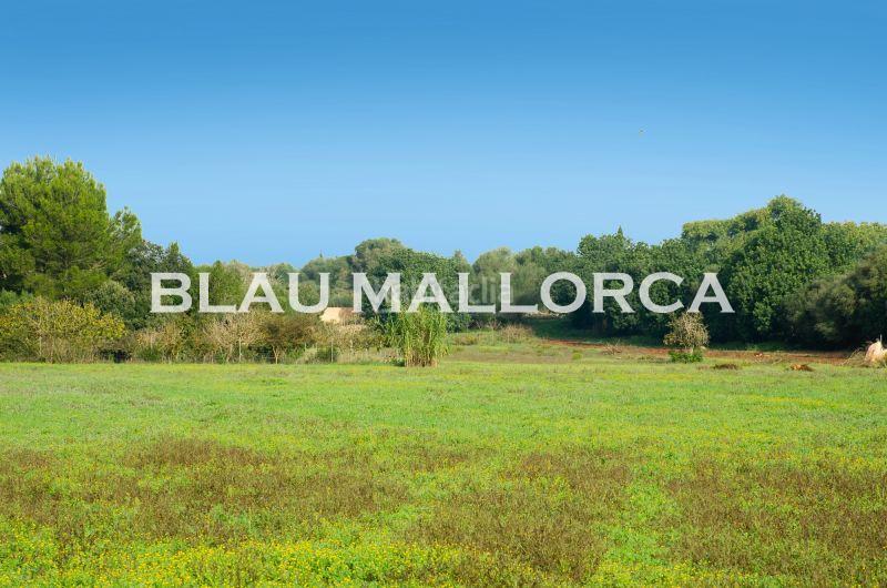 Foto a392763b-d8c0-4f1d-8363-301382efeea1. Propriété dans Manacor centre Manacor