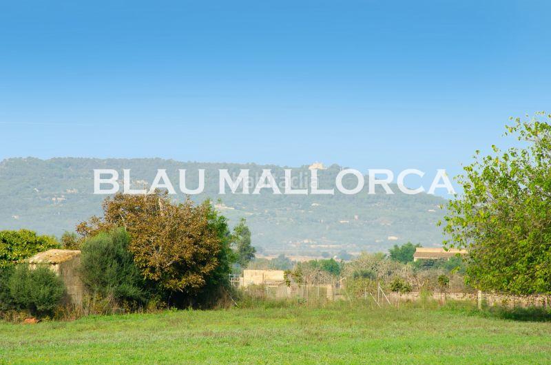 Foto d5feddf5-b7e2-4746-bc58-7d706b8c3973. Propriété dans Manacor centre Manacor