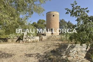 Mas à Manacor Centre. Finca con encanto y vistas despejadas en manacor