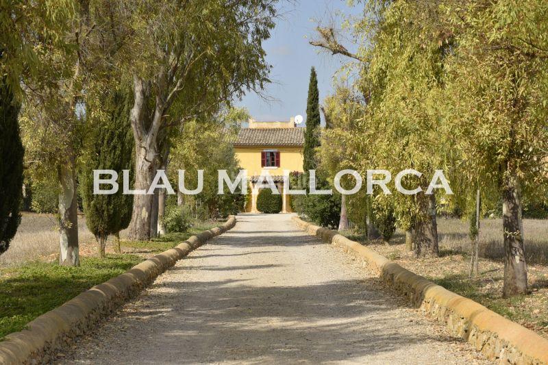 Foto 11fdc425-53cd-4bd0-a32d-54d03e22e783. Bauernhof in Felanitx poble Felanitx