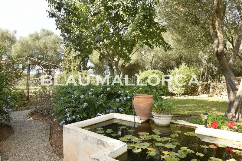 Foto 6c483c07-3e54-4696-b1f5-c5acc1bd5c58. Bauernhof in Felanitx poble Felanitx