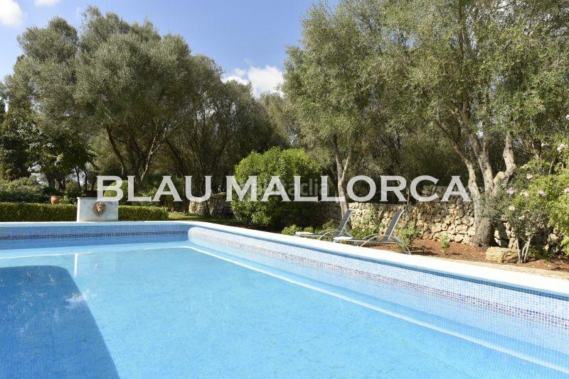 Foto e586fd53-2bbb-447c-b3a9-aa499ae1e1ed. Bauernhof in Felanitx poble Felanitx