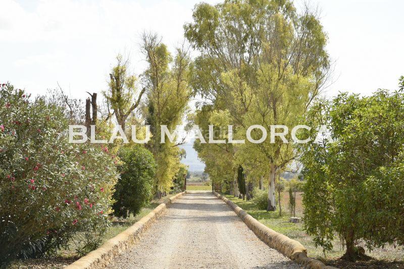 Foto e8c42fea-5c36-4024-b427-d5284c7d2706. Bauernhof in Felanitx poble Felanitx