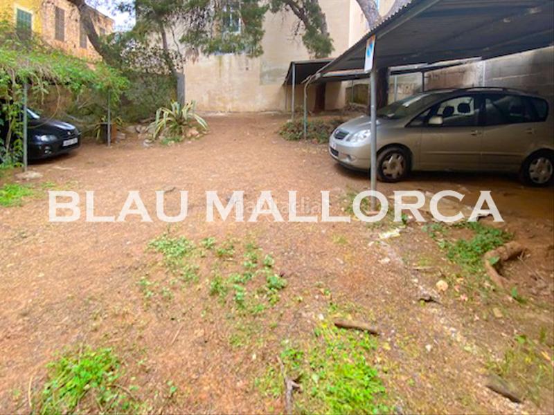 Foto 219d380c-9da9-4002-a024-6ea9170f1e36. Propriété dans Porto Cristo Manacor