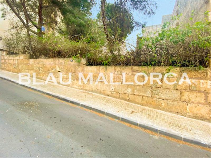 Foto 3a2d128d-9f55-48ff-a11b-815a55a002f1. Propriété dans Porto Cristo Manacor