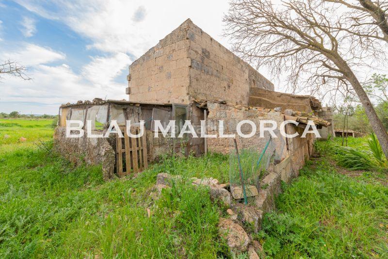 Foto 08972f2c-b67c-4fce-8b31-50ec504321cf. Mas dans Manacor centre Manacor