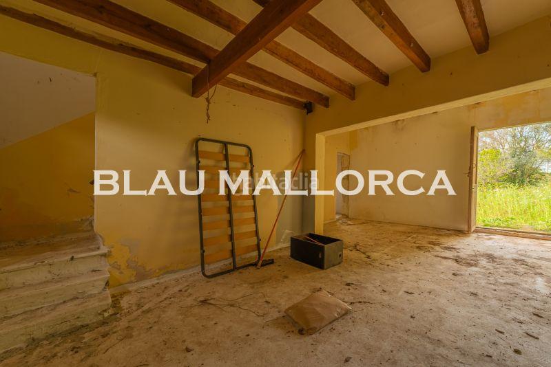 Foto dcc341aa-a93c-4ce4-8ed6-0fe9212894ef. Mas dans Manacor centre Manacor