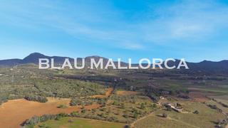 Finca rústica a Manacor Centre. Se vende terreno edificable en manacor