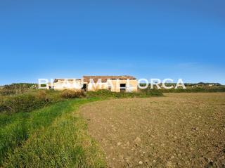 Country house in Petra. Finca en las afueras de petra