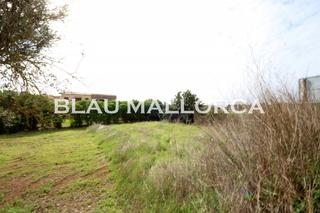 Rural plot in Sant Llorenç des Cardassar. Solar urbano en son carriã