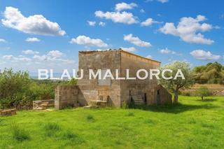 Bauernhof in Maria de la Salut. Finca con vistas despejadas cerca de maria de la salut
