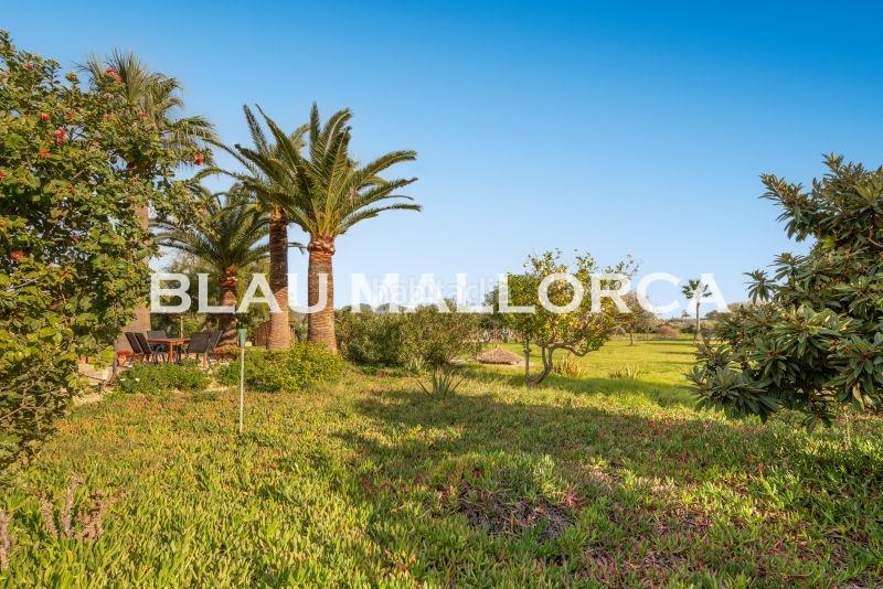 Foto e15fba1f-a632-4425-95a6-3d109aea5b72. Bauernhof in Son Servera poble Son Servera