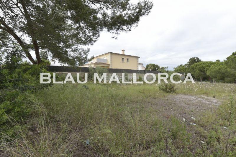 Foto 1bbe4d2a-9cab-4ee3-99ab-4d59d82c6f88. Rural plot in Sant Llorenç des Cardassar