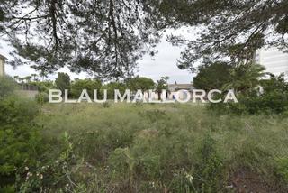 Rural plot in Sant Llorenç des Cardassar. Solar en sa coma a pocos metros de la playa