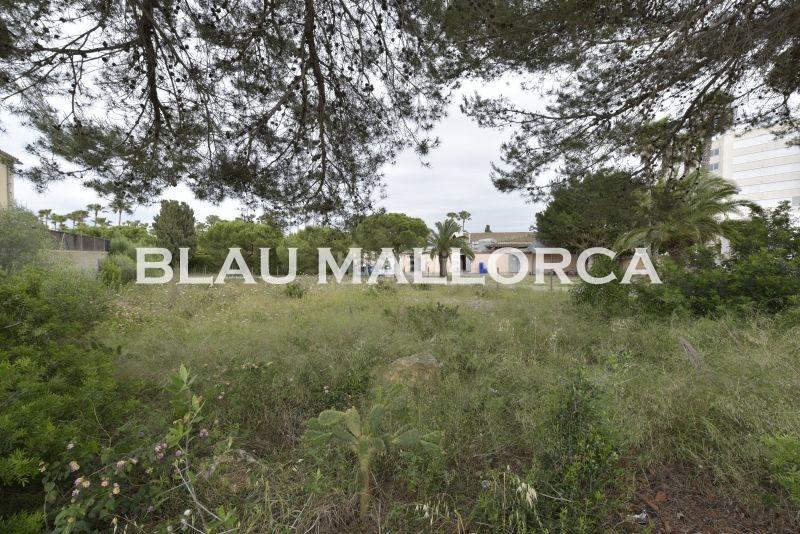 Foto 61d17caa-fb6d-46d8-bba3-9887eea080db. Rural plot in Sant Llorenç des Cardassar