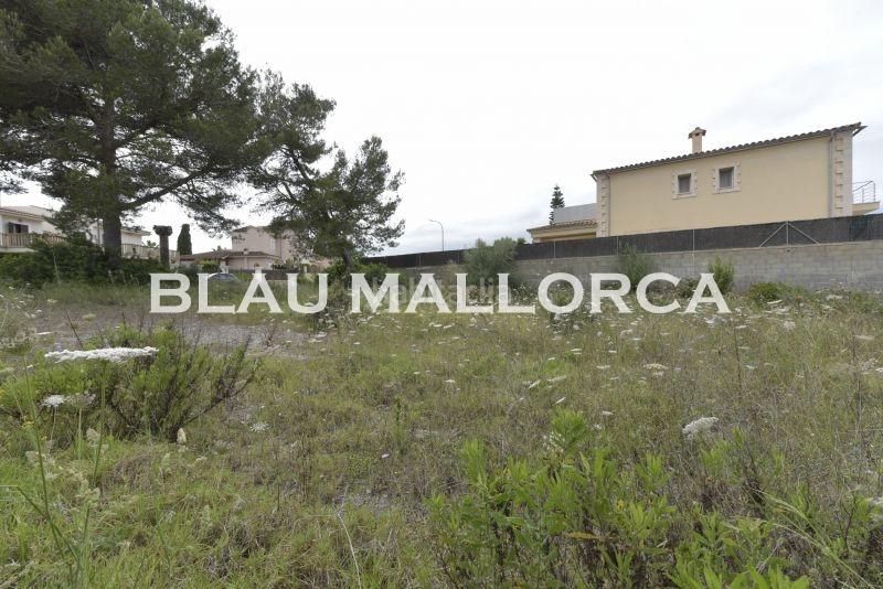 Foto f33977dc-71a5-4e40-b114-25f3af34c338. Rural plot in Sant Llorenç des Cardassar