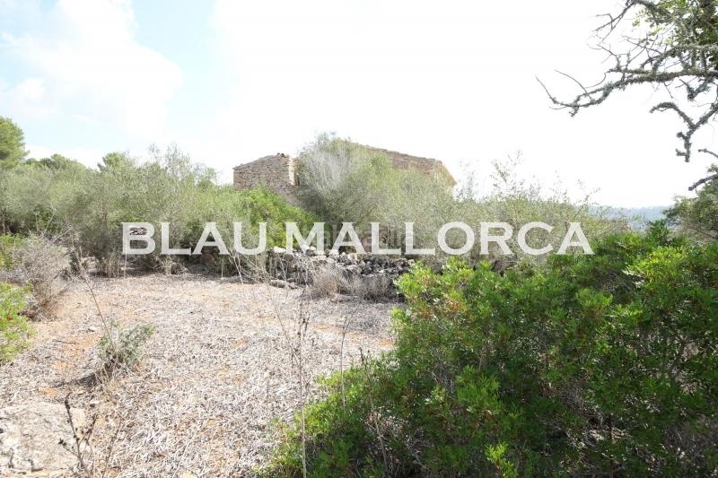 Foto bdbe196c-8439-4e92-88bc-ff3e6d2b9e7f. Bauernhof in Son Servera poble Son Servera