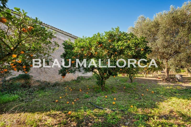 Foto 5a542c12-a179-4a17-b58e-1d44f26a009b. Masia a Son Servera poble Son Servera