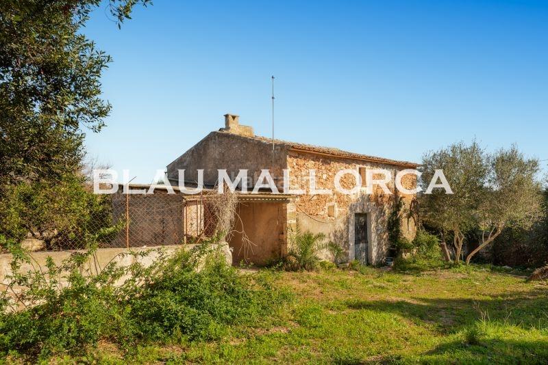 Foto a1d61340-de3c-4d5f-874d-39d0d1ea8e56. Masia a Son Servera poble Son Servera