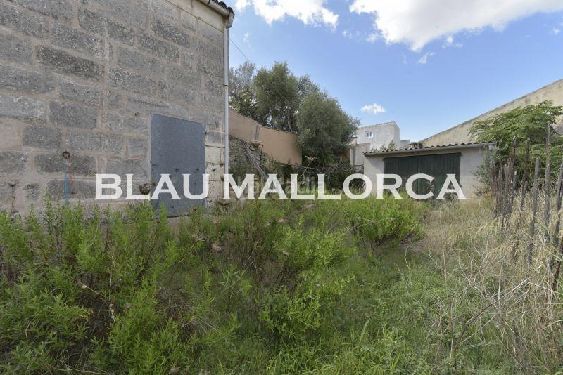 Foto b50fe100-fe2d-46e3-a42f-a28c2a11a213. Fondo rustico in Son Servera poble Son Servera