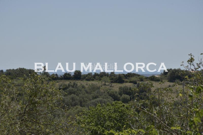Foto 29a09482-a194-4b13-992e-3d25f7560212. Finca rústica a Manacor centre Manacor