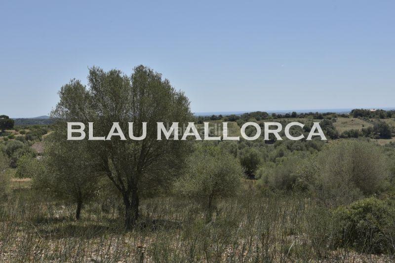 Foto eea1323c-60a7-44c2-9bd9-ce991d125ecd. Finca rústica a Manacor centre Manacor