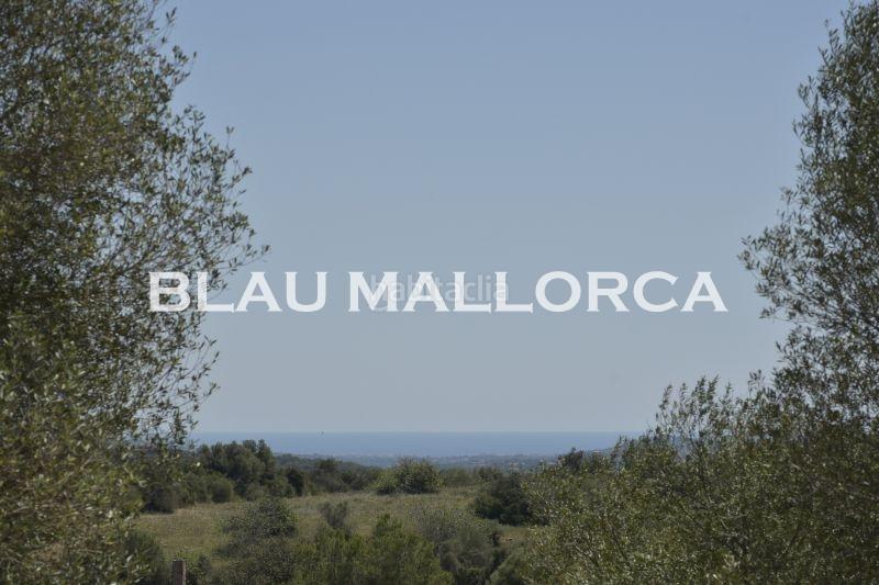 Foto f73fe71f-7b99-4376-b3fa-e9dd587669b8. Finca rústica a Manacor centre Manacor