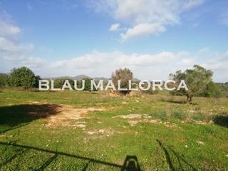 Rural plot in Sant Llorenç des Cardassar. Fantãstico terreno cerca de sãllot con proyecto de ejecuciãn