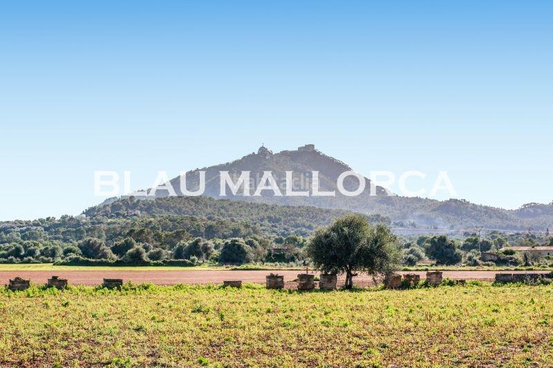 Foto 75d45e49-0db0-424b-b81b-8f6c6de4e8a7. Masia a Felanitx poble Felanitx