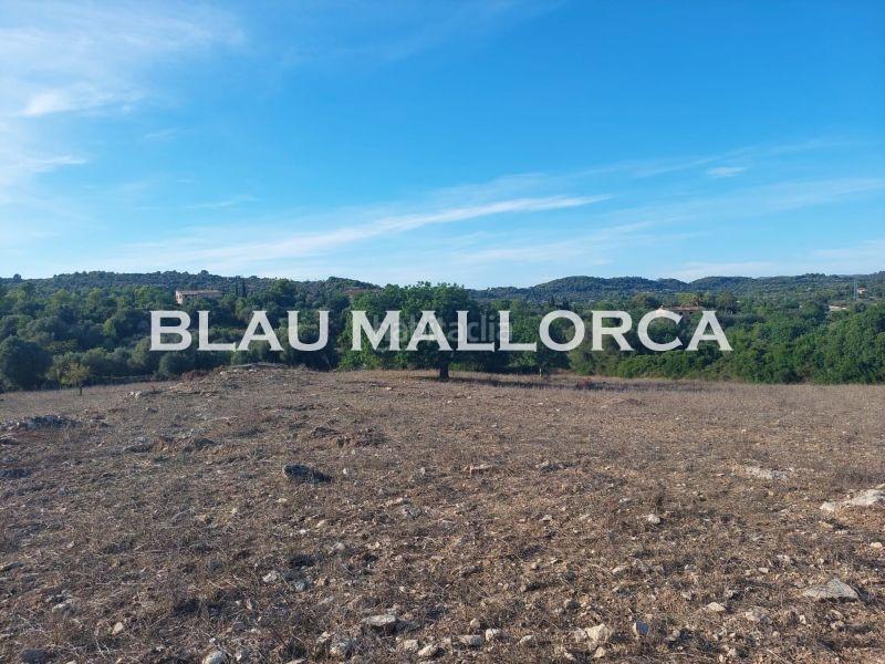 Foto 7925d93c-9568-4c38-ae81-04749fb071c7. Rural plot in Son Servera poble Son Servera