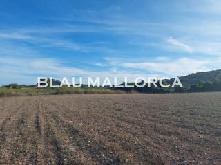 Finca rústica a Son Servera Poble. Se vende terreno con caseta en son servera