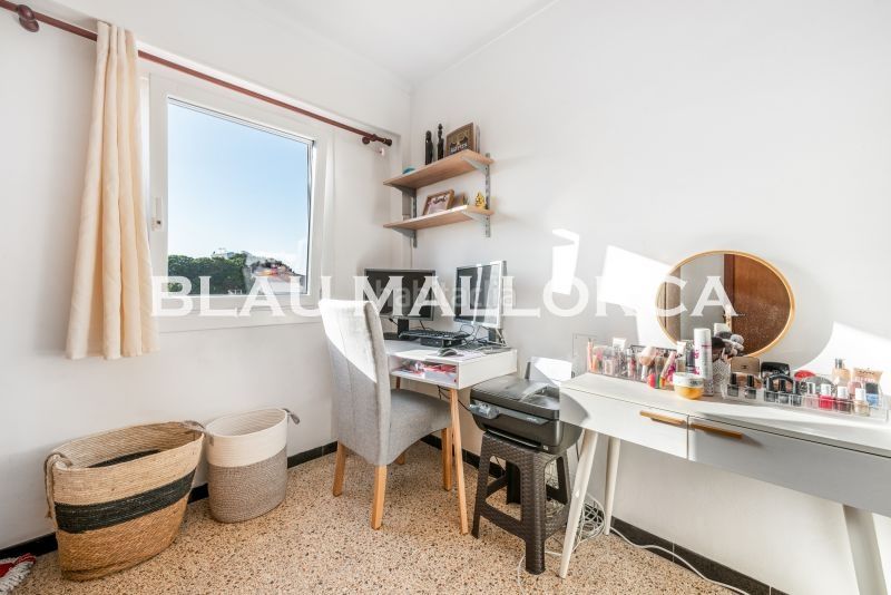 Foto fec981e4-3753-4fda-8120-4bf488594ed5. Pis a Porto Cristo Manacor