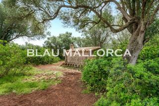 Finca rústica a Felanitx Poble. Precioso terreno en felanitx con proyecto y licencia