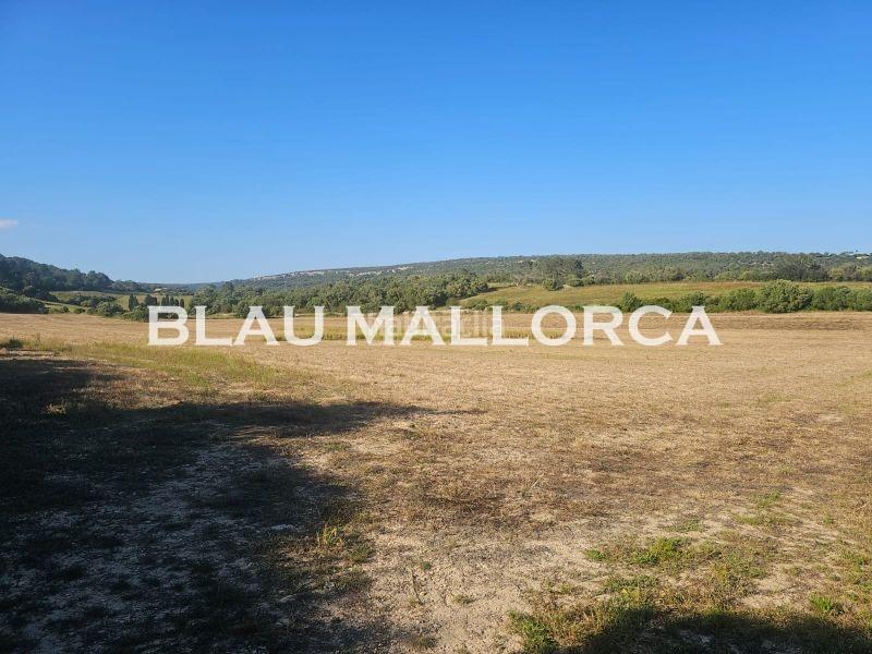 Foto e6a30f76-ed94-461b-9c4b-96ba2b096192. Finca rústica a Manacor centre Manacor